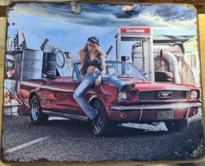 Plaque Vintage Ford Mustang Cabriolet 1965