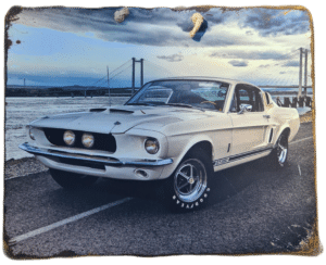 Plaque Métallique Ford Mustang Shelby GT 350