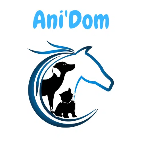 Ani'dom
