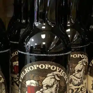 Bière tchèque Kozel Dark 500 ml – Bière noire authentique – 3,8 %