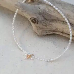 Chevillette "Plagette"