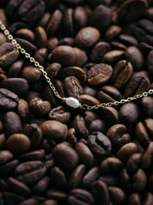 Collier Nautile – Image 2
