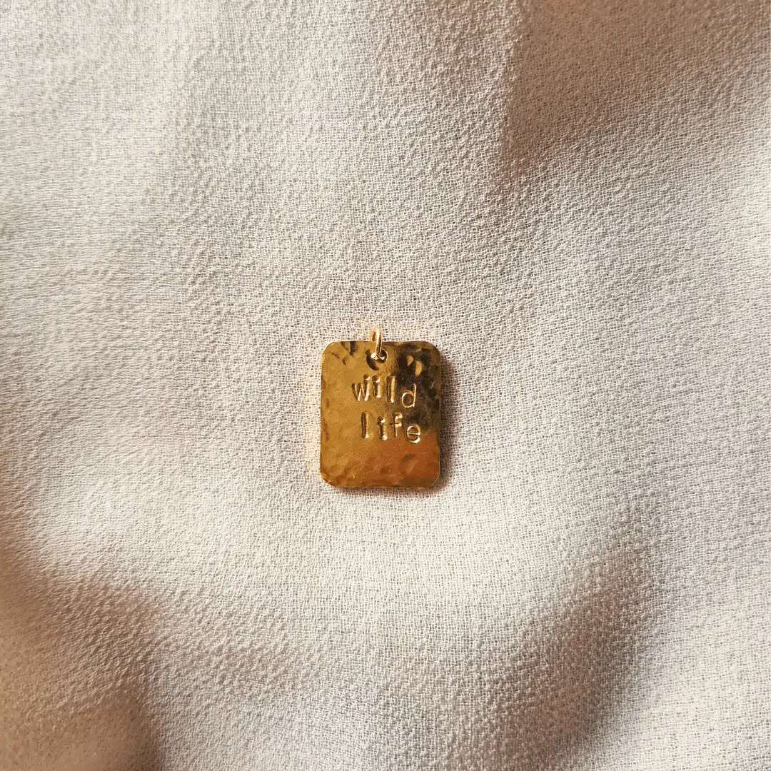 Médaille "Book" 1 Médaille "Book"