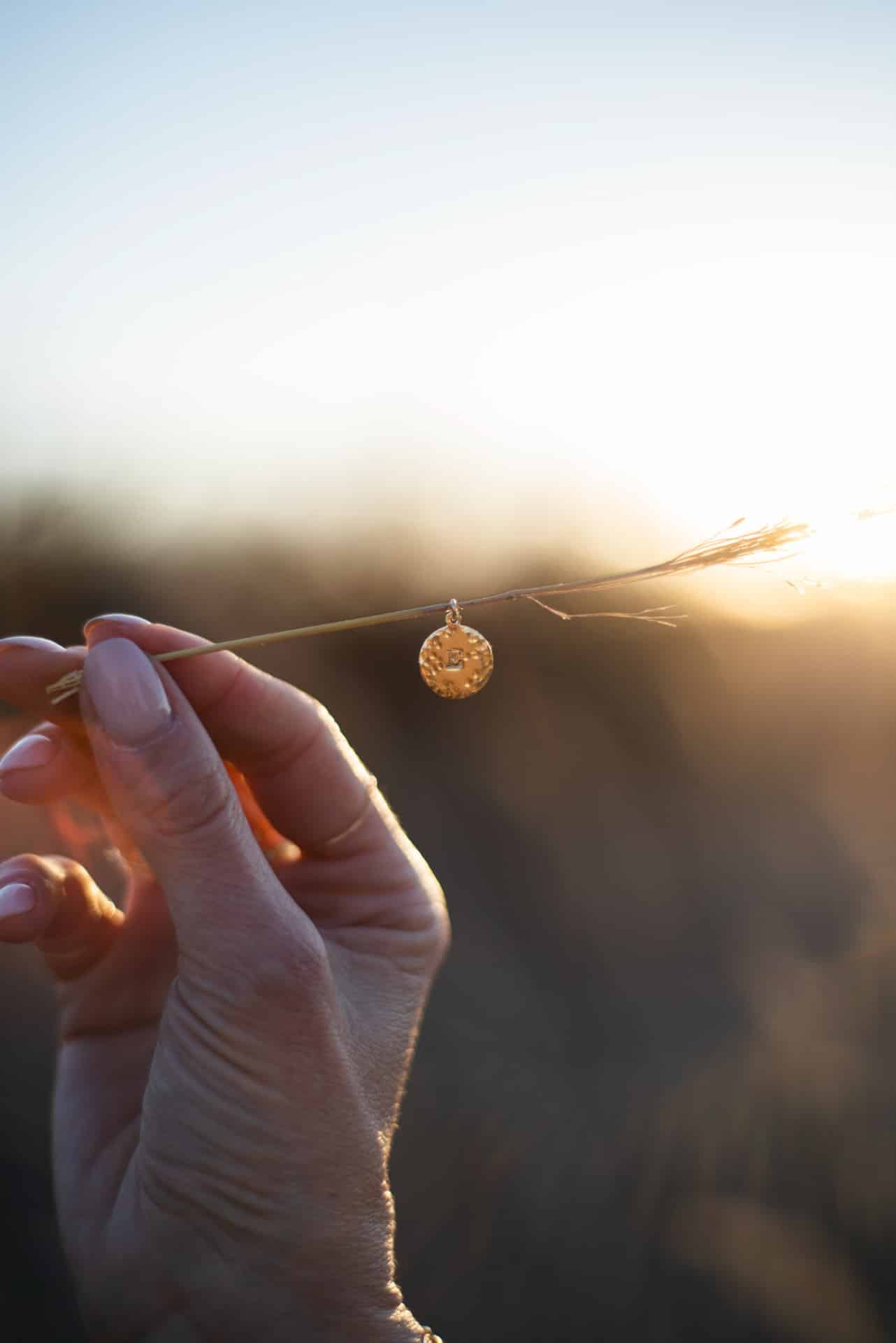 Médaille "Ronde PM" 3 Médaille "Ronde PM" – Image 3