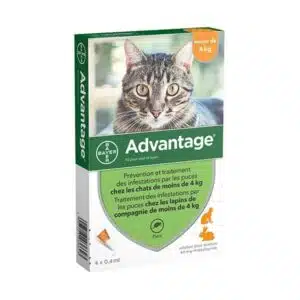 ADVANTAGE 40 CHAT/LAPIN (0-4KG)*6