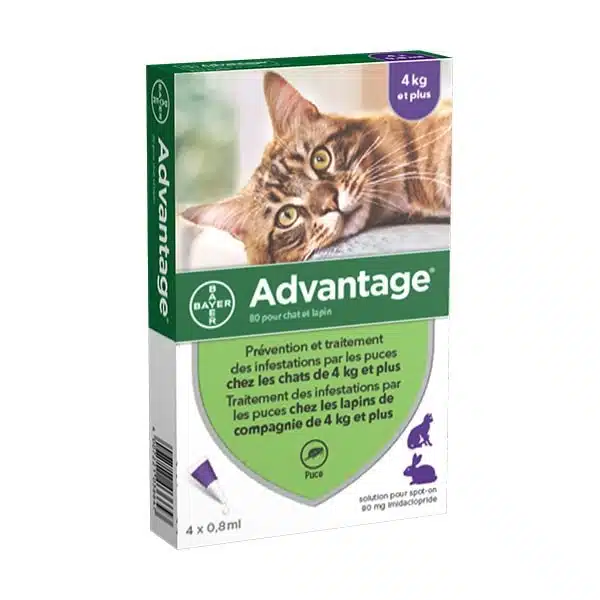 ADVANTAGE 80 CHAT/LAPIN (4-10KG)*6 1 ADVANTAGE 80 CHAT/LAPIN (4-10KG)*6