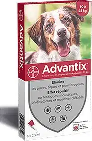 ADVANTIX CHIEN (10-25KG)*6