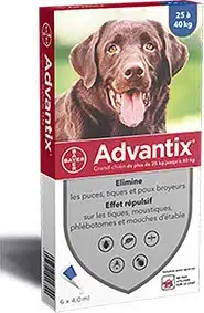 ADVANTIX CHIEN (25-40KG)*6