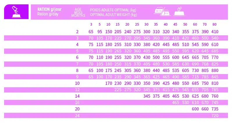 BAB'IN LAB JUNIOR PEAU & PELAGE SAUMON (tte race) 12 KG 2 BAB'IN LAB JUNIOR PEAU & PELAGE SAUMON (tte race) 12 KG – Image 2