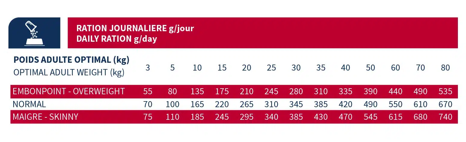 BAB'IN ULTRA ADULTE (tte race) 10KG 2 BAB'IN ULTRA ADULTE (tte race) 10KG – Image 2