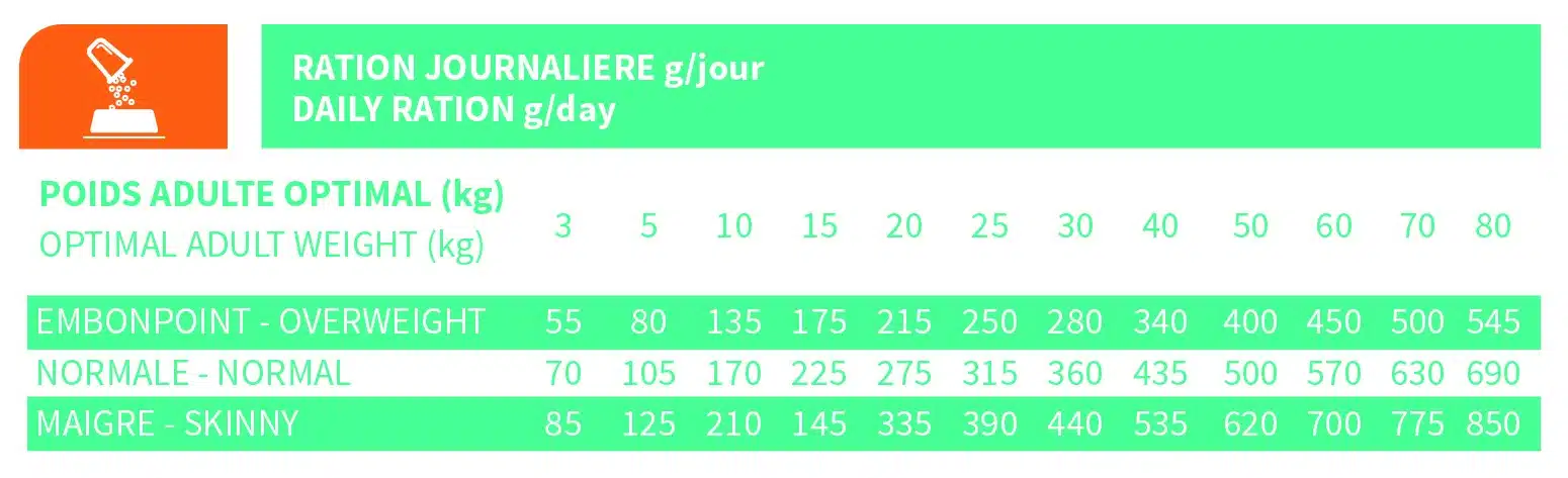 BABIN LAB CHIEN ARTICULAIRE12KG 2 BABIN LAB CHIEN ARTICULAIRE12KG – Image 2