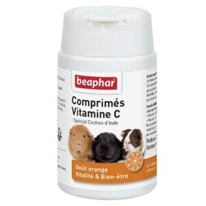 COMPRIMES DE VITAMINE C*100