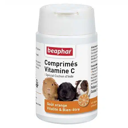 COMPRIMES DE VITAMINE C*100 1 COMPRIMES DE VITAMINE C*100