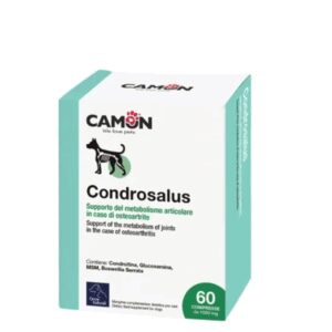 Condrosalus - Comprimés pour articulations *60