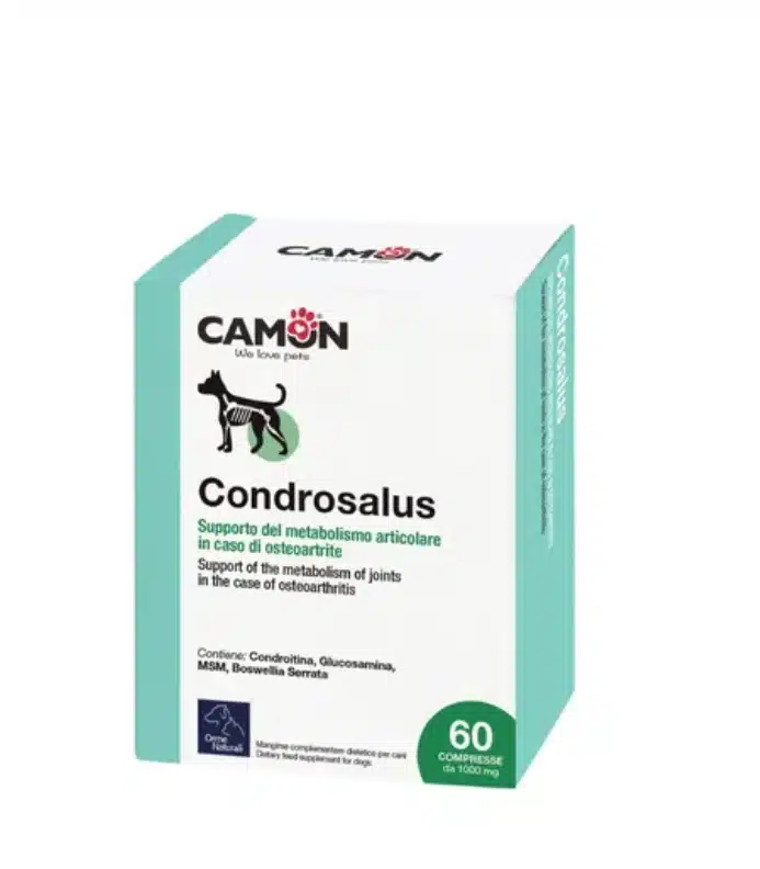 Condrosalus - Comprimés pour articulations *60 1 Condrosalus - Comprimés pour articulations *60