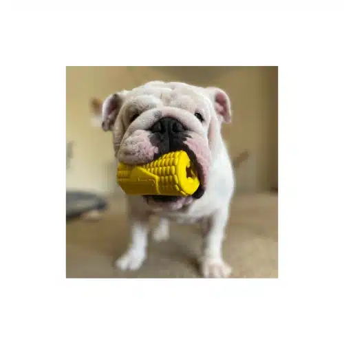 Distributeur de friandises au maïs sur l'épi - Jaune 2 Distributeur de friandises au maïs sur l'épi - Jaune – Image 2