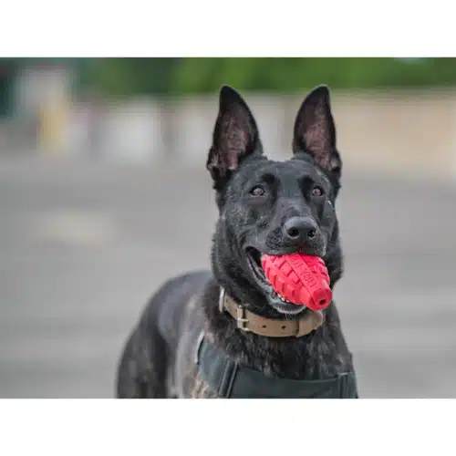 Distributeur de friandises - Grenade 2 Distributeur de friandises - Grenade – Image 2