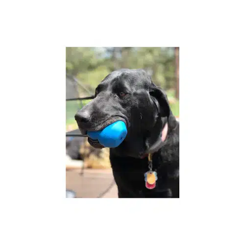 Double Trouble Jouet à mâcher - Distributeur de friandises - Grand 2 Double Trouble Jouet à mâcher - Distributeur de friandises - Grand – Image 2