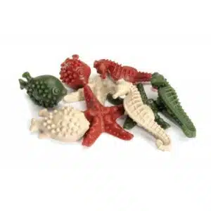 Friandises Veggie Dental Snack *10