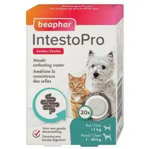 INTESTOPRO COMPRIMES CHIEN/CHAT *20