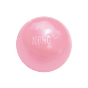 KONG PUPPY BALL HOLE – Image 3