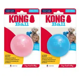 KONG PUPPY BALL HOLE