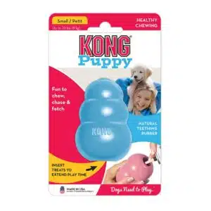 KONG PUPPY BLEU