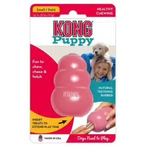 KONG PUPPY ROSE