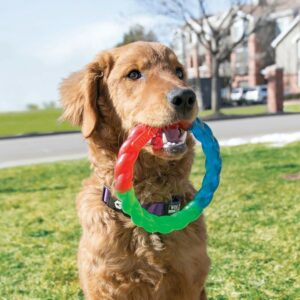 KONG TWISTZ RING MULTICOLORE – Image 2