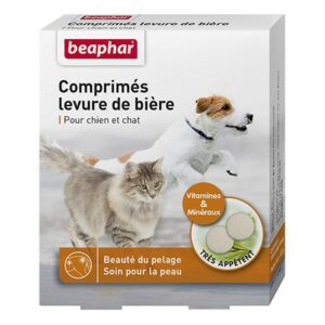 LEVURE DE BIERE *100