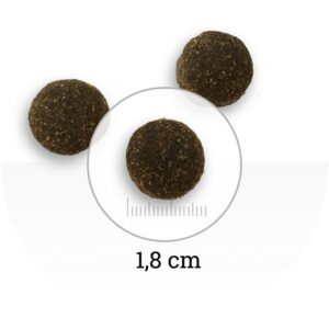 NATURA WILD North Country : volaille, canard & dinde 12KG – Image 2
