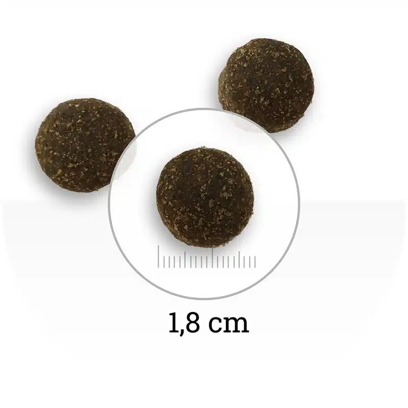 NATURA WILD North Country : volaille, canard & dinde 12KG 2 NATURA WILD North Country : volaille, canard & dinde 12KG – Image 2