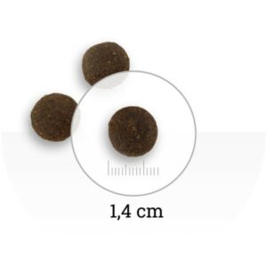 NATURA WILD Ontario Wildland : Agneau & porc français 12kg – Image 2