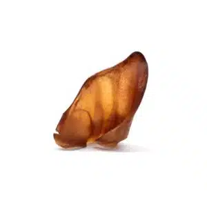 Oreille de porc pour chien