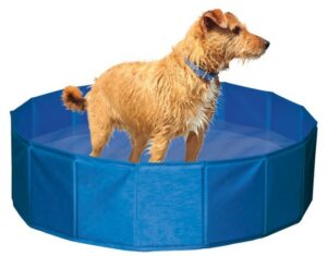 Piscine pour chien 160CM x 30CM - 600L – Image 2