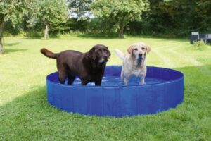 Piscine pour chien 160CM x 30CM - 600L