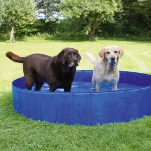 Piscine pour chien 160CM x 30CM - 600L