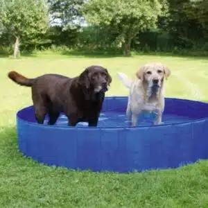 Piscine pour chien 160CM x 30CM - 600L