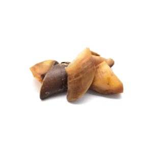 Sabot de bœuf pour chien