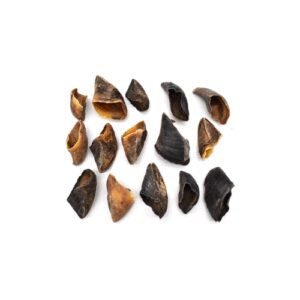 Sabot de veau pour chien - Sachet fraîcheur 15 pièces