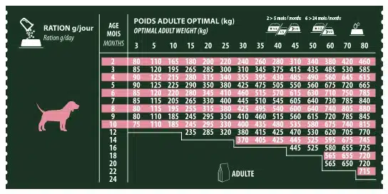 BAB'IN SIGNATURE SANS CEREALE JUNIOR POULET (tte race) 12KG 3 BAB'IN SIGNATURE SANS CEREALE JUNIOR POULET (tte race) 12KG – Image 3