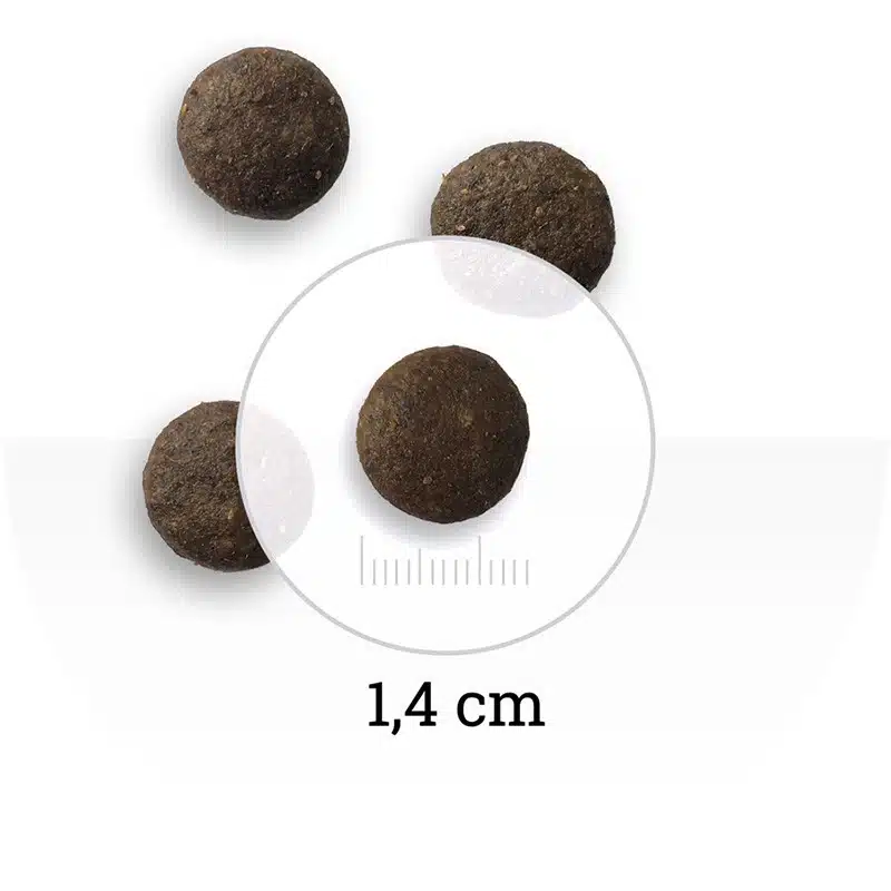 WOLF'S MOUNTAIN Wild Forest 12kg 2 WOLF'S MOUNTAIN Wild Forest 12kg – Image 2