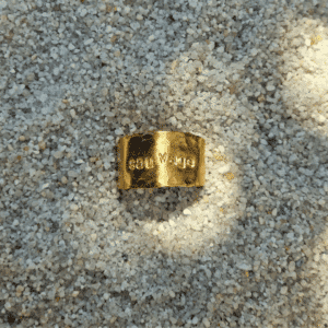 Bague “Sauvage”