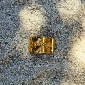 Bague sauvage “bronzette”