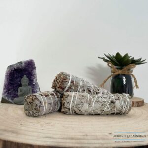 Bâton de Sauge Blanche Royale