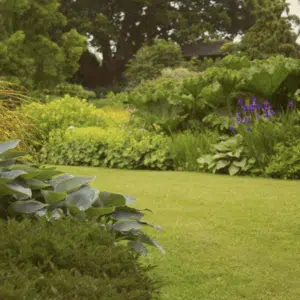 Gazon synthétique PASSY 35, rouleau 2 m de large, hauteur 35 mm pour jardin et piscine