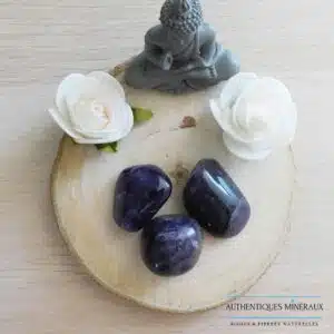 Pierre roulée Améthyste