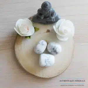 Pierre roulée Howlite