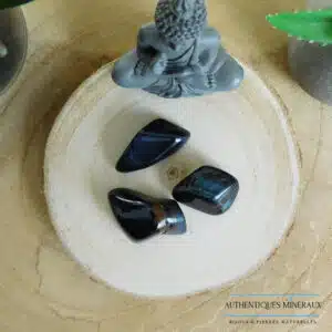 Pierre roulée Oeil de faucon