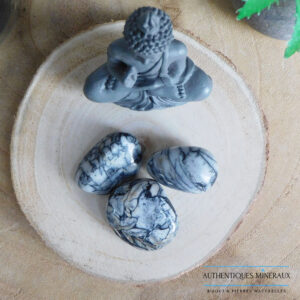 Pierre roulée Pinolite